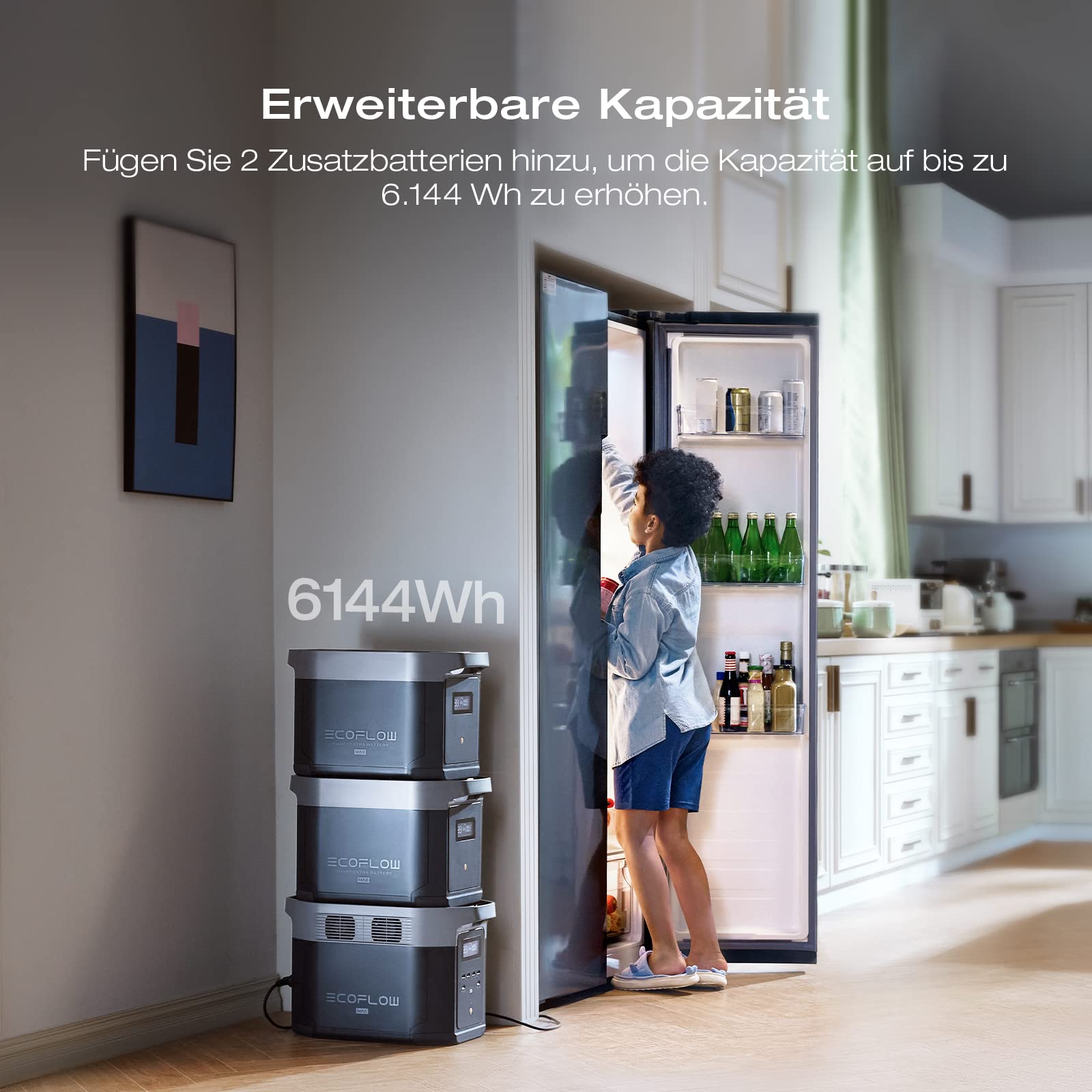 EcoFlow DELTA 2 Max tragbare Powerstation 2048Wh, erweiterbar 2-6 kWh, LFP-Batterie mit 3000 Zyklen, 80% Ladung <1 Std, 3000W Max Ausgangsleistung, Solargenerator für Zuhause, Camping, Wohnmobil